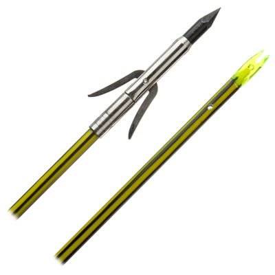 Cajun Bowfishing Sting-A-Ree T