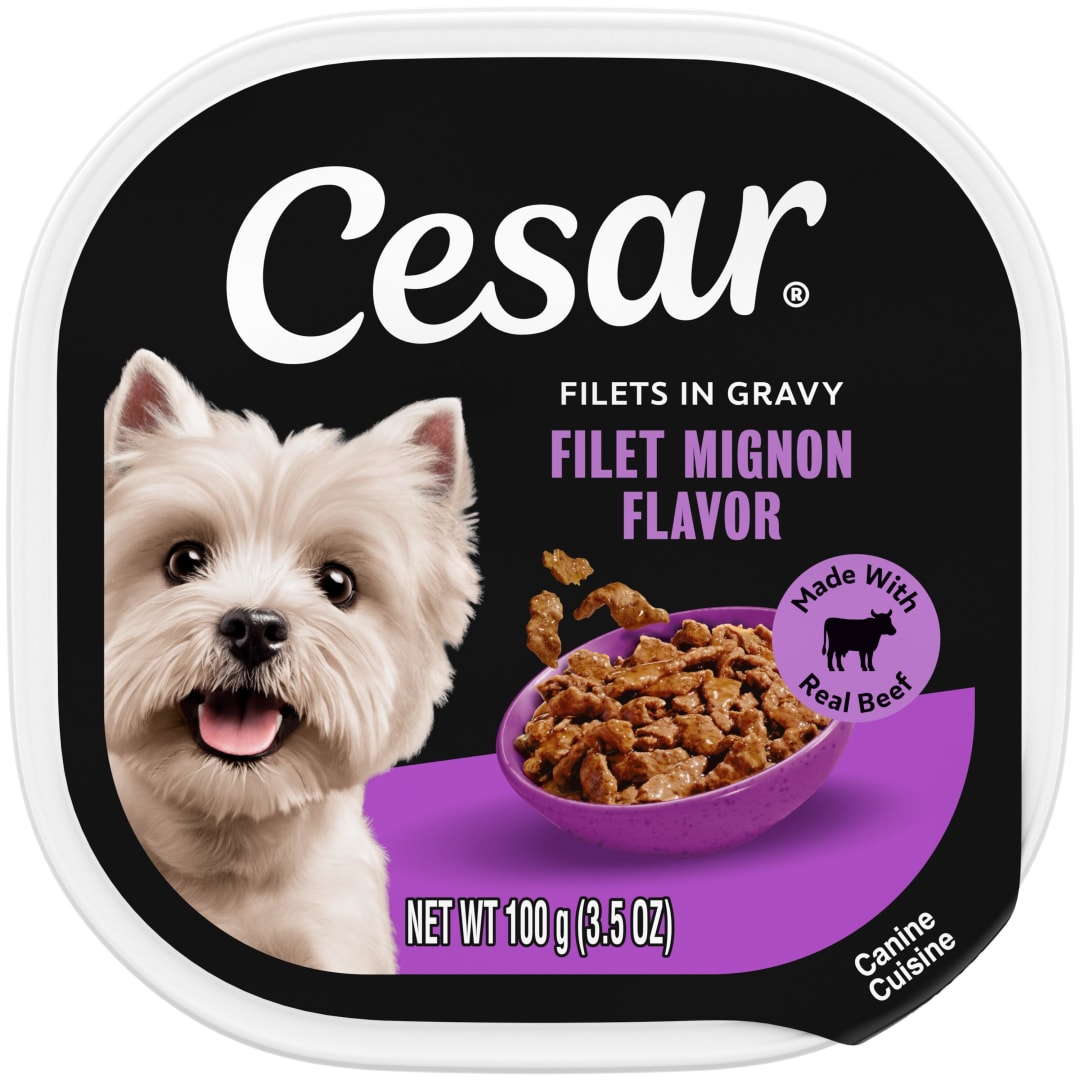 CESAR Adult Soft Wet Dog Food Filets in Gravy Filet Mignon Flavor, (24) 3.5 oz. Trays