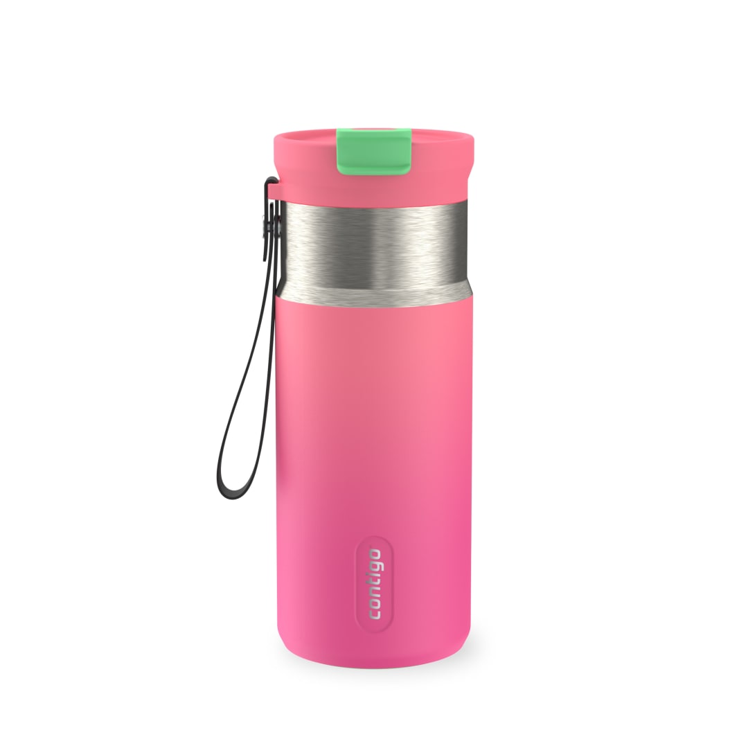 Contigo DualSip Insulated Stainless Steel Water Bottle with 2-Way Lid and Carrying Strap, 16 oz (473 ml)