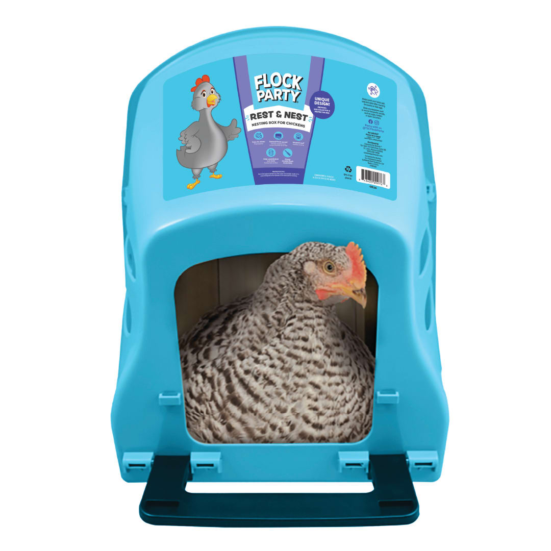 FP NESTING BOX BLUE 12/CS