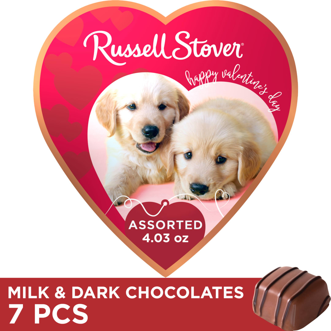 RUSSELL STOVER Valentine's Day Puppy Love Assorted Milk & Dark Chocolate Candy Heart Gift Box, 4.03 oz.
