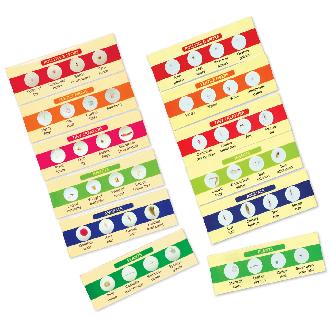 PREPARED SLIDES COMBO SET (48 SPECIMENS)