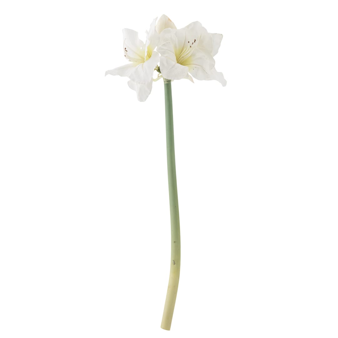 82073040 - Amaryllis Stem, White, Artificial Flowers STOCK: 300