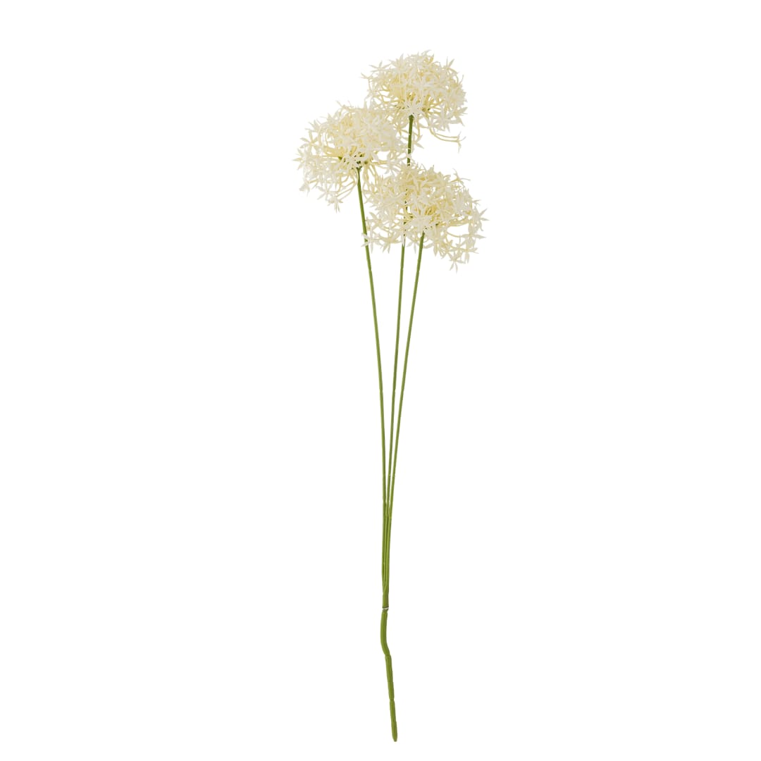 82061516 - Allium Stem, White, Artificial Flowers STOCK: 300
