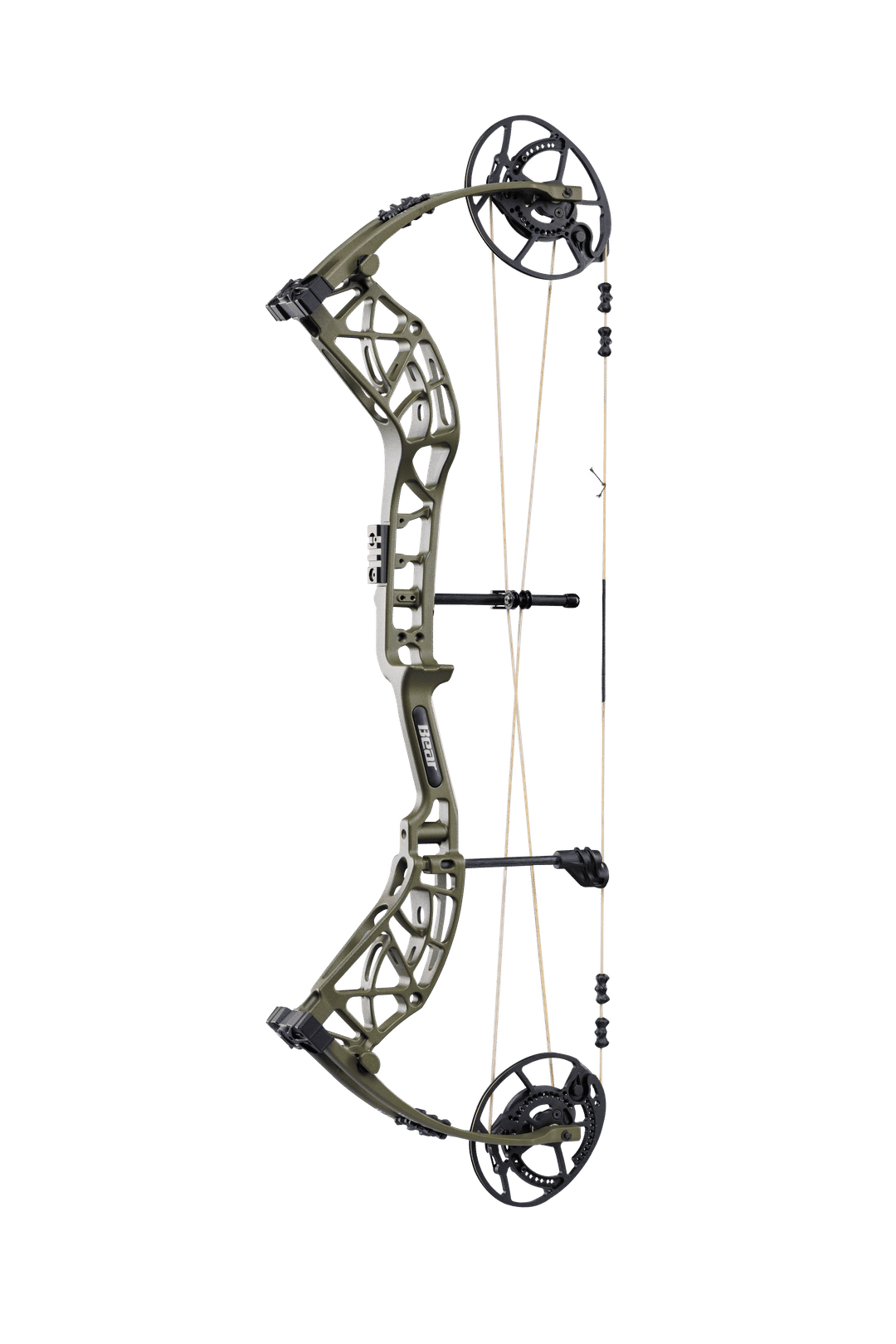 Bear Whitetail INT
