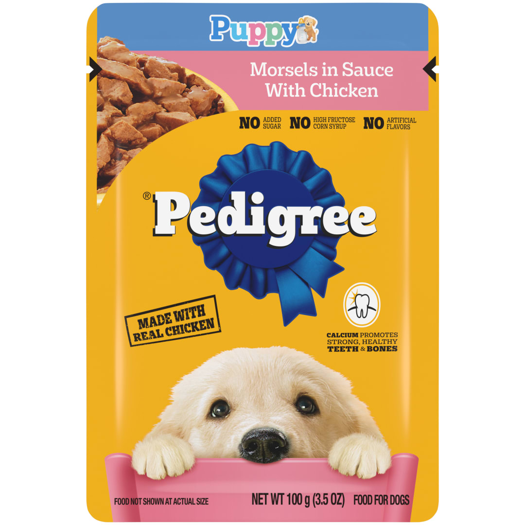 Pedigree Puppy Wet Dog Food Morsels in Sauce With Chicken, 3.5 oz. Pouches,  (24 Pack)