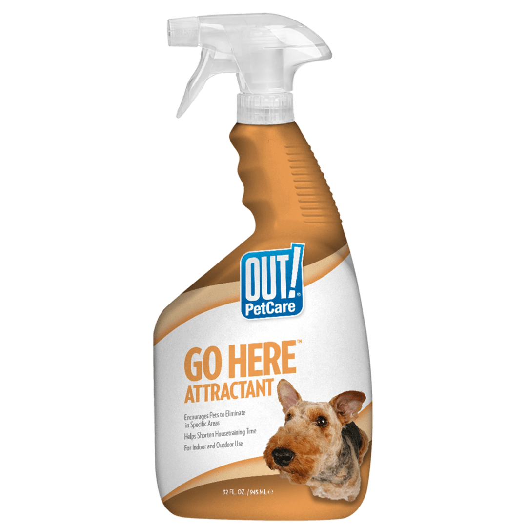 OUT! PetCare Go Here Dog Training Spray, 32 oz