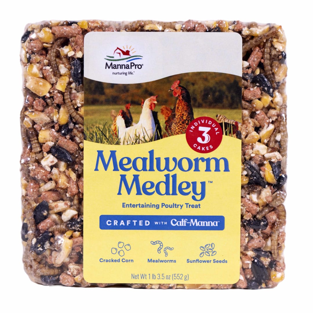 Manna Pro Mealworm Medley Cake, 3 Cakes