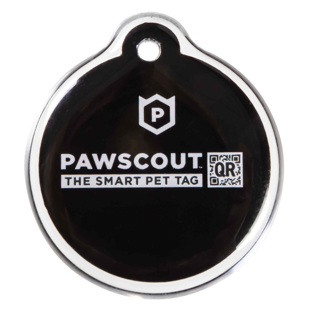PawscoutQR Smart Pet Tag for Dogs and Cats