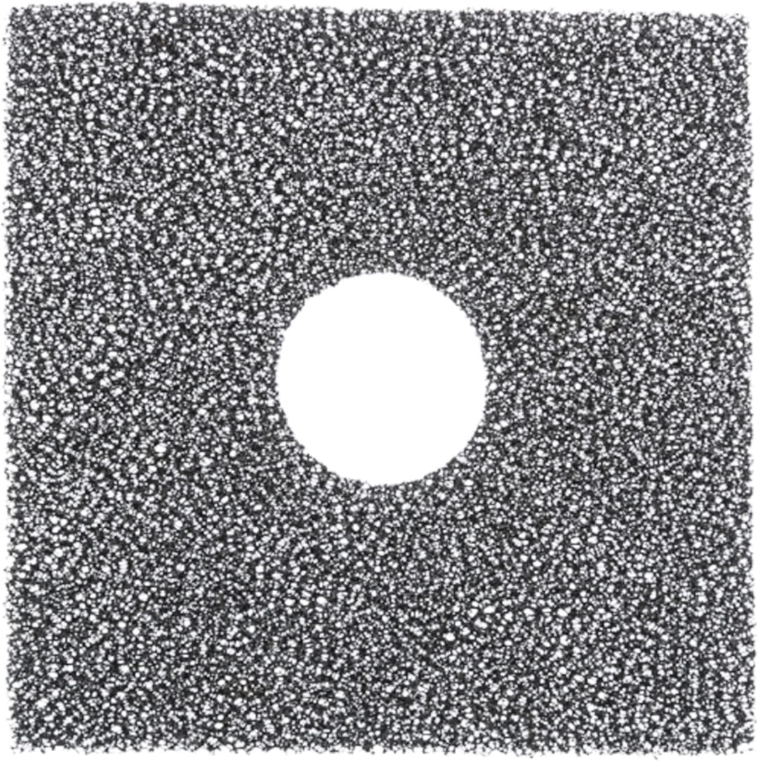 12-Pack Replacement Filter for 24446-Flower Drinking Fountain