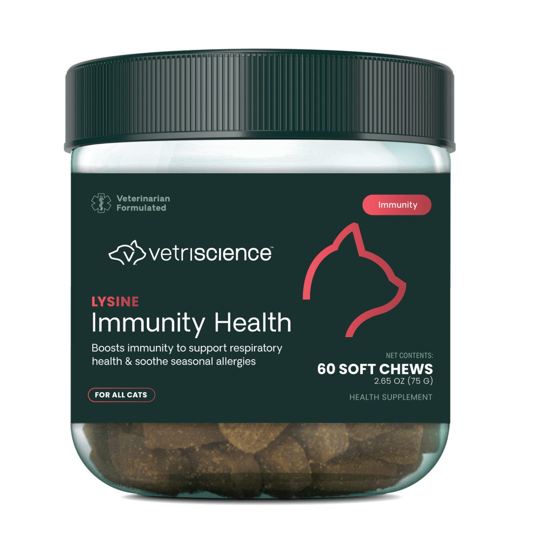 VS Lysine Immunity Health Chews, Cats, Chicken, 60ct WALMART EXCL