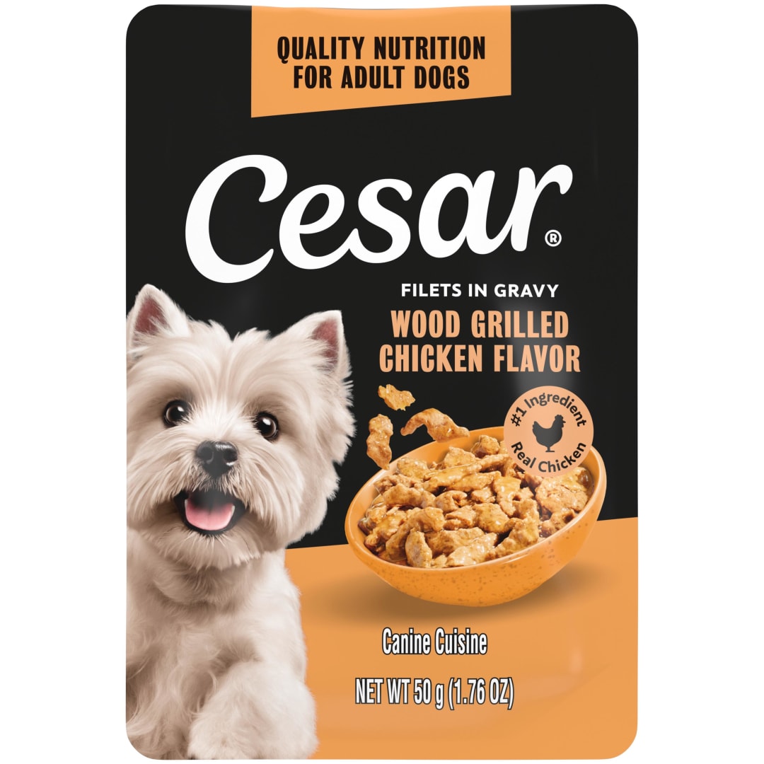 Cesar Filets in Gravy Wood-Grilled Chicken Flavor Wet Dog Food, 1.76-oz Mini-Pouch