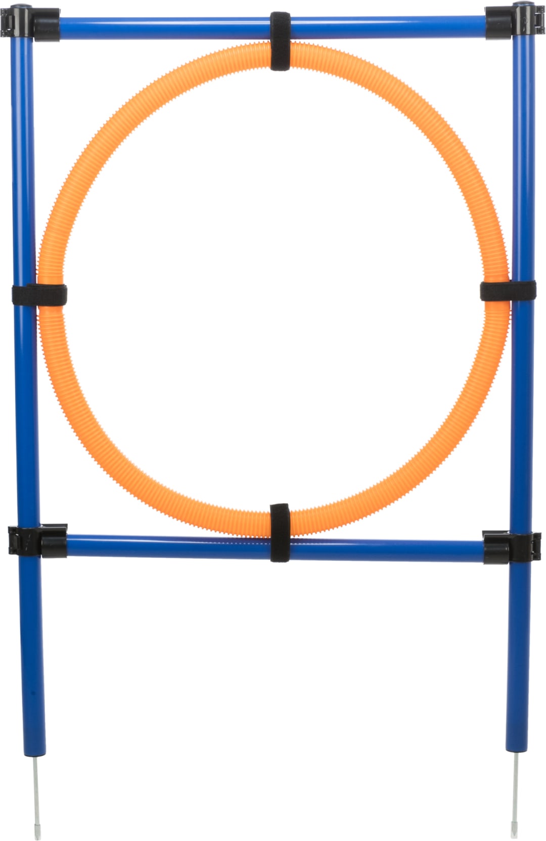 Dog Agility Ring