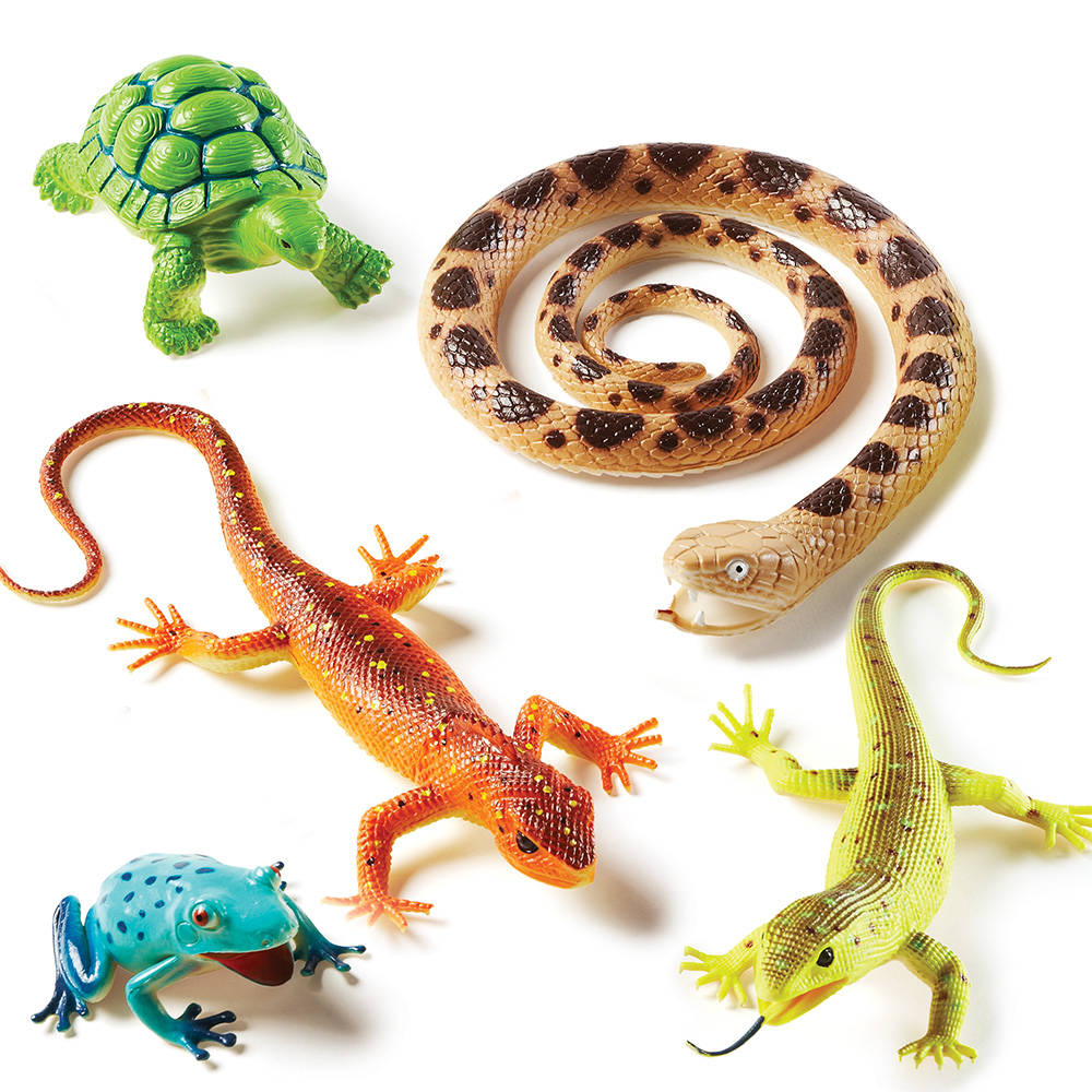 JUMBO REPTILES AND AMPHIBIANS