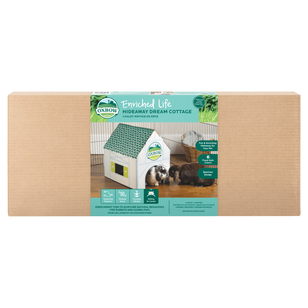 Enriched Life - Hideaway Dream Cottage