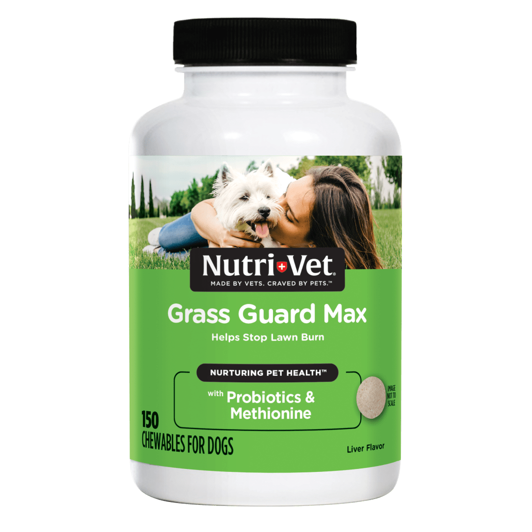 Nutri-Vet Grass Guard Chewables For Dogs, 150 count