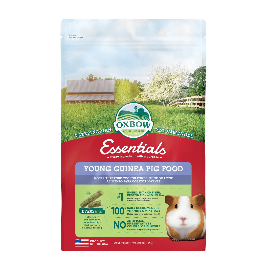 Essentials Young Guinea Pig Food - 5 lb
