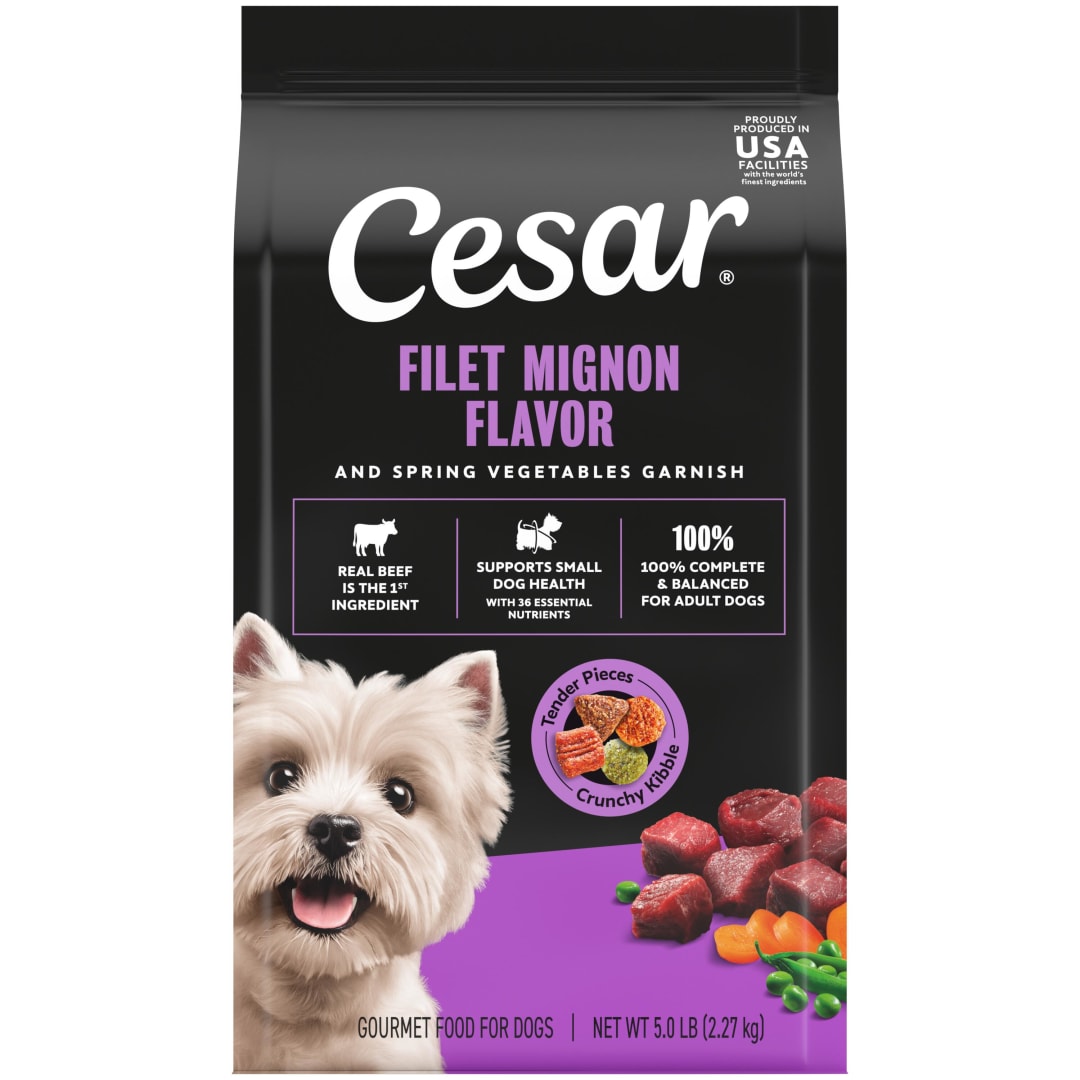 Cesar Filet Mignon Flavor with Vegetable Garnish Small Breed Dry Dog Food, 5 lb bag