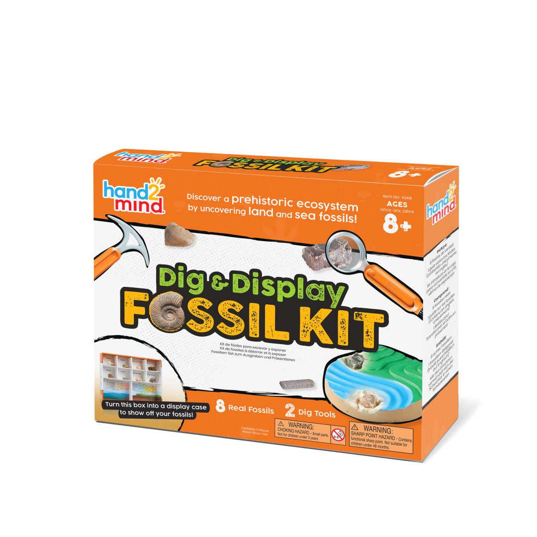 SCIENCE LAB KIT, DIG & DISPLAY FOSSILS
