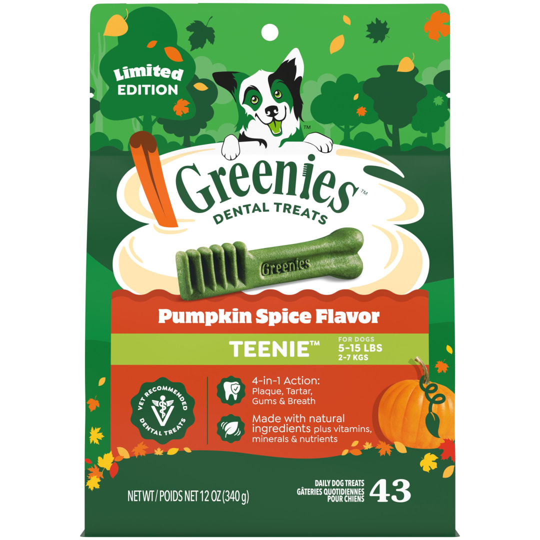 GREENIES Pumpkin Spice Flavor TEENIE Dog Dental Chews 12 Ounces 43 Treats