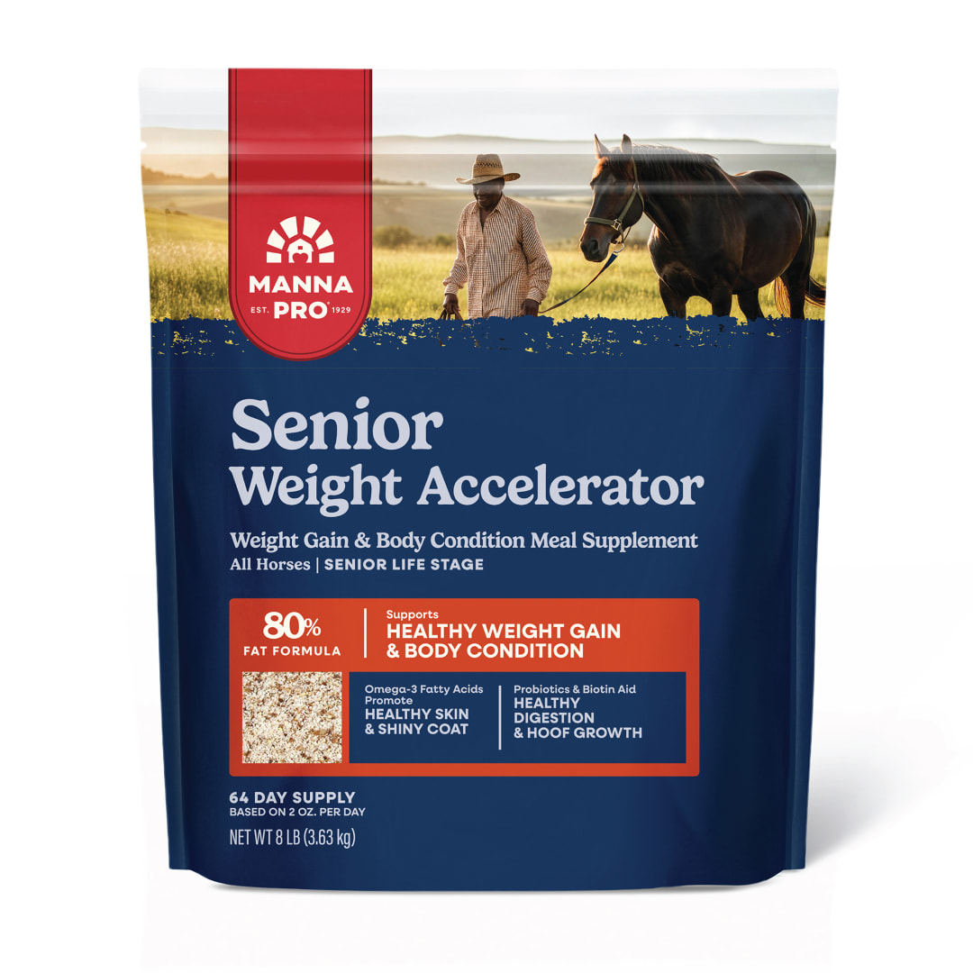 Manna Pro Weight Accelerator For Senior Horses - Made with Omega 3 Fatty Acids - Formulated with Flaxseed - Weight Gain Supplement for Horses - 8 lbs