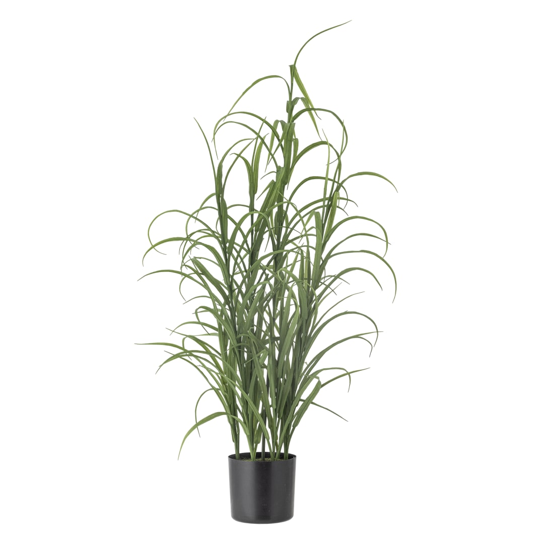 82061503 - Grass Plant, Green, Artificial Flowers STOCK: 0