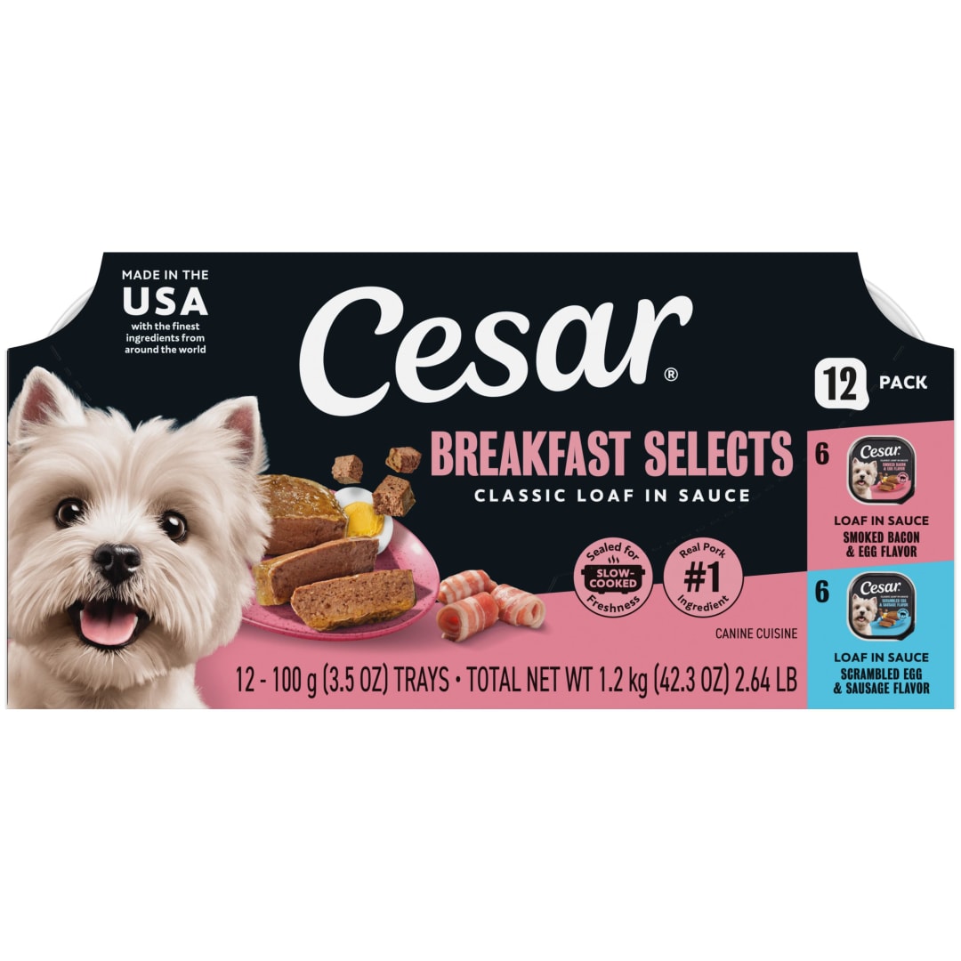 CESAR Wet Dog Food Classic Loaf in Sauce Breakfast Variety Pack, (12) 3.5 oz. Easy Peel Trays