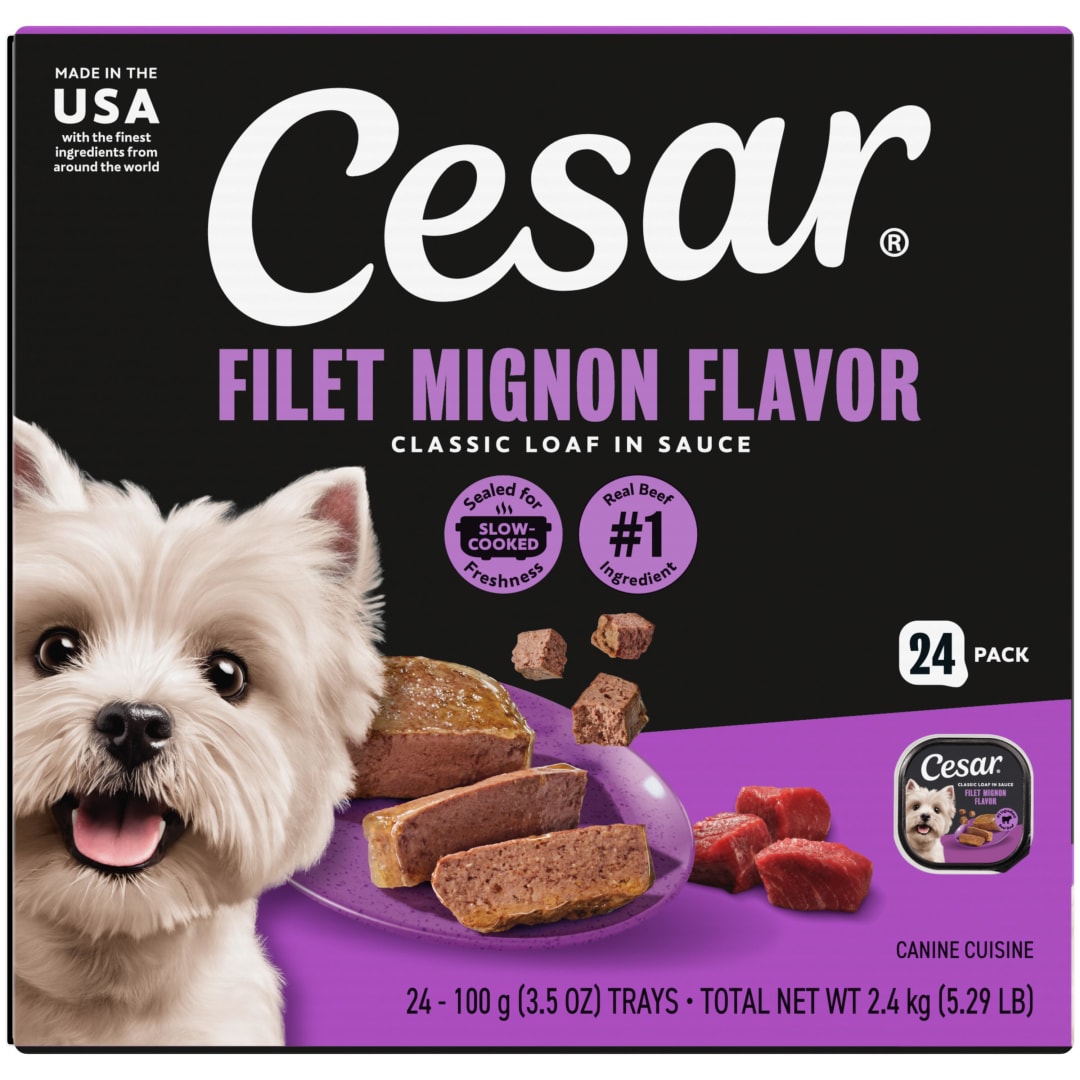 CESAR Soft Wet Dog Food Classic Loaf in Sauce Filet Mignon Flavor Multipack (24) 3.5 oz. Easy Peel Trays