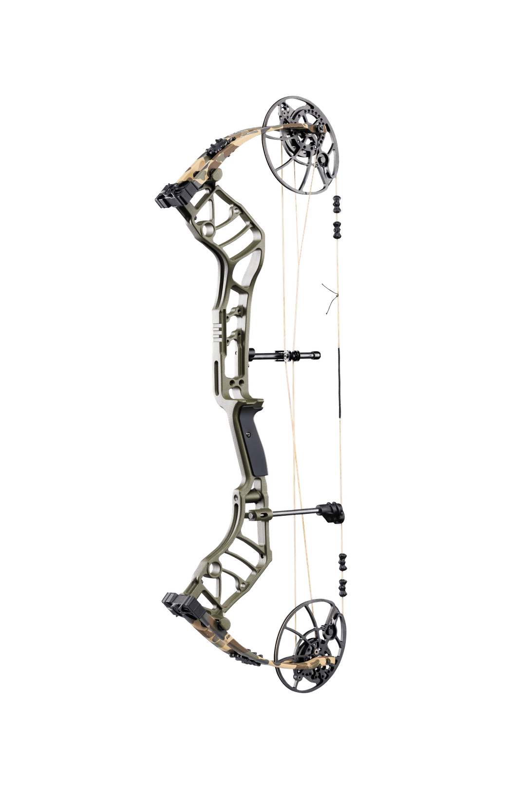 Bear Legend 30