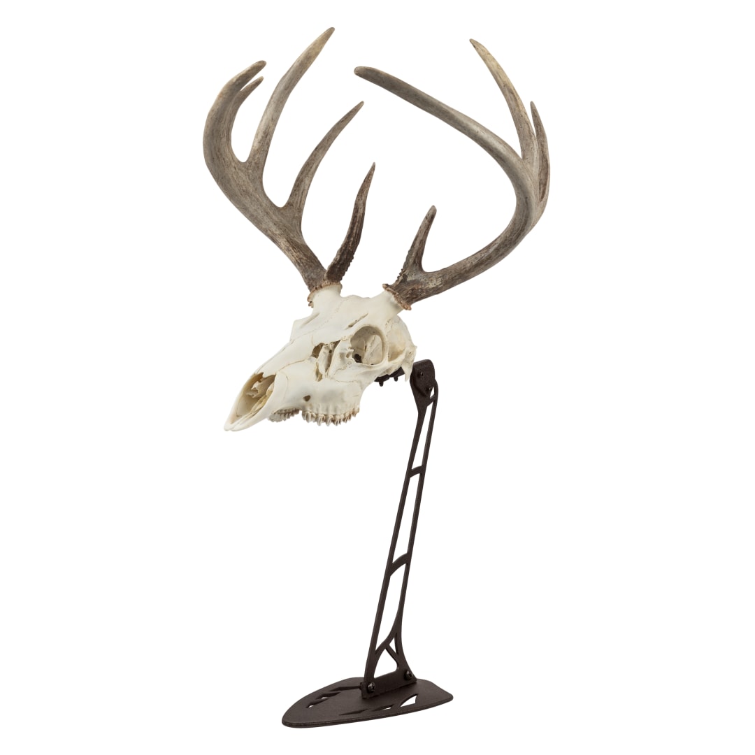 Allen Company EZ Mount Centerpiece Skull Stand, Brown