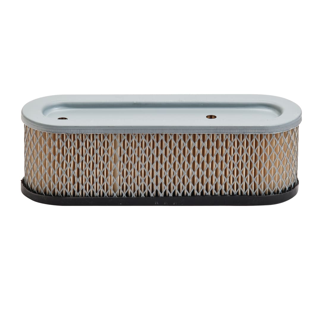Air Filter, Briggs and Stratton