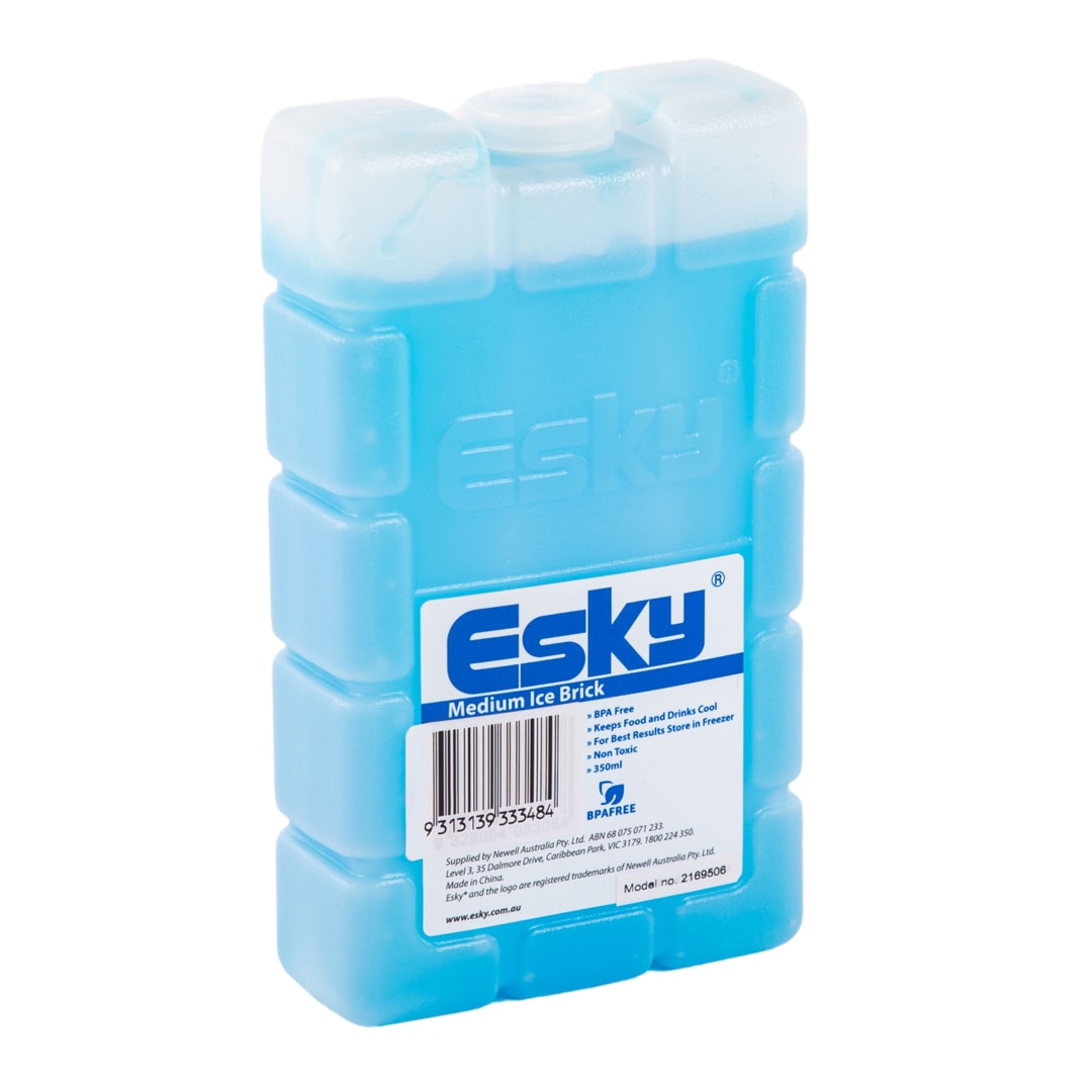 ESKY MEDIUM ICE BRICK (BUN)