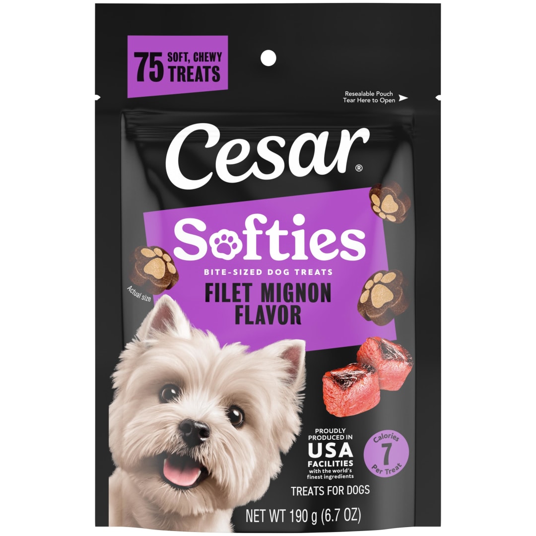 Cesar Softies Filet Mignon Flavor Chewy Soft Dog Treats, 6.7 oz Pouch, 75 Treats