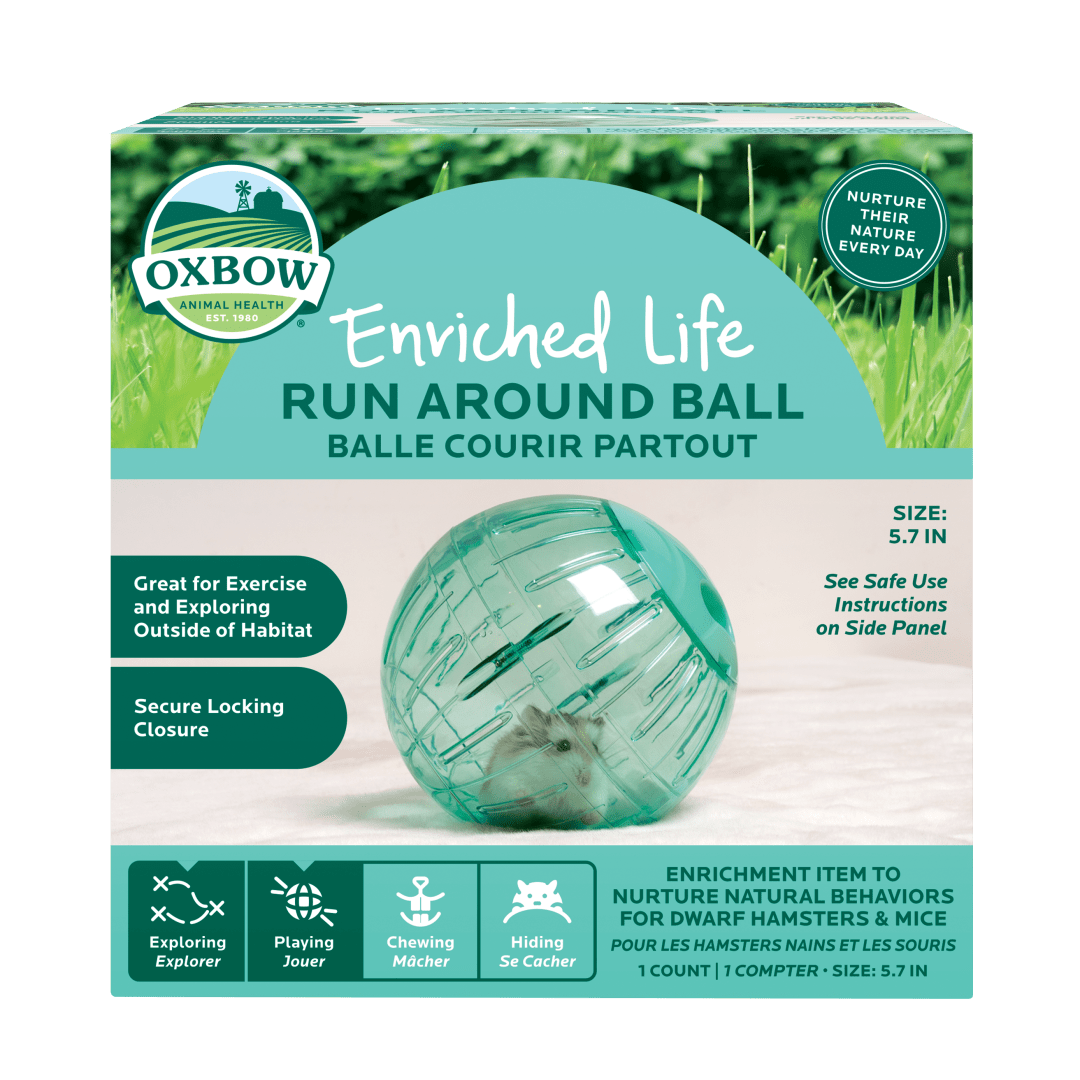 Enriched Life - Run Around Ball