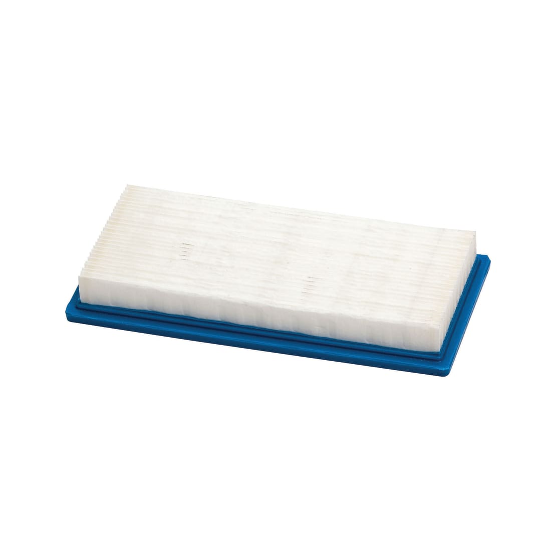 Air Filter, Briggs and Stratton