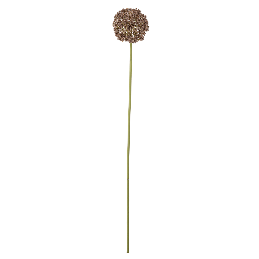 82072036 - Allium Stem, Brown, Artificial Flowers STOCK: 300