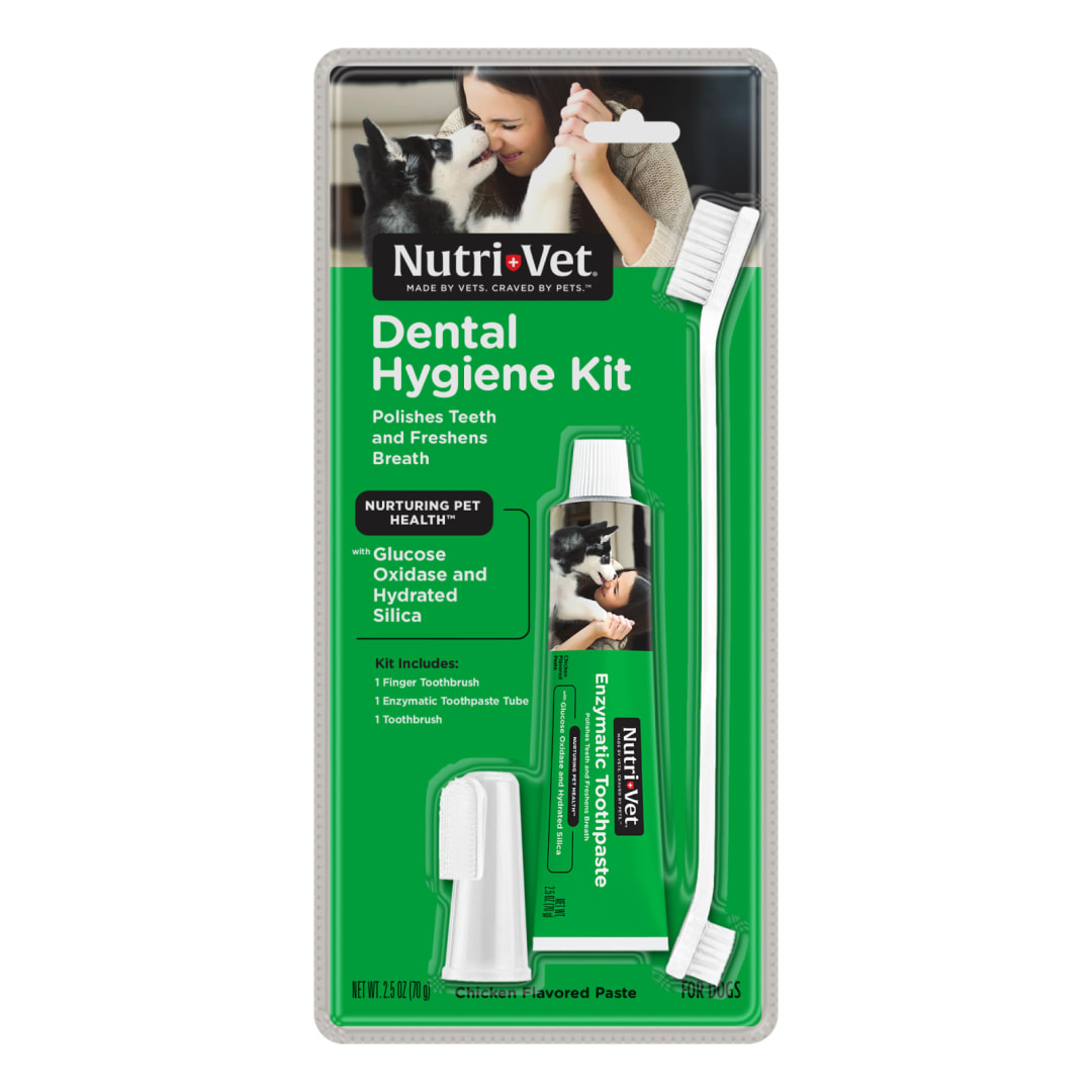 Nutri-Vet Dental Hygiene Kit for Dogs | Finger Toothbrush and Enzymatic Toothpaste | Chicken Flavor | 2.5 ounces