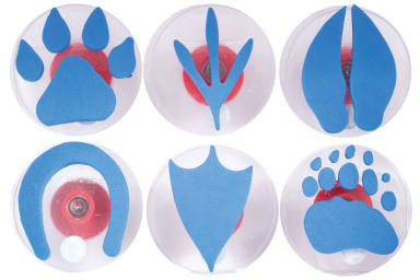 Giant Stampers - Paw Prints - Set of 6