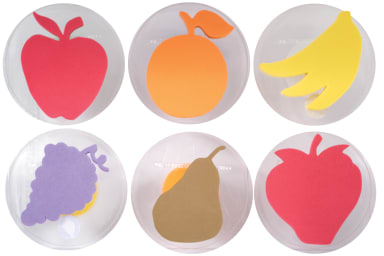 Giant Stampers - Fruit - Set of 6