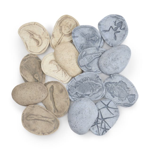Magnetic Matching Fossil Stones: Aquatic Life - Set of 8