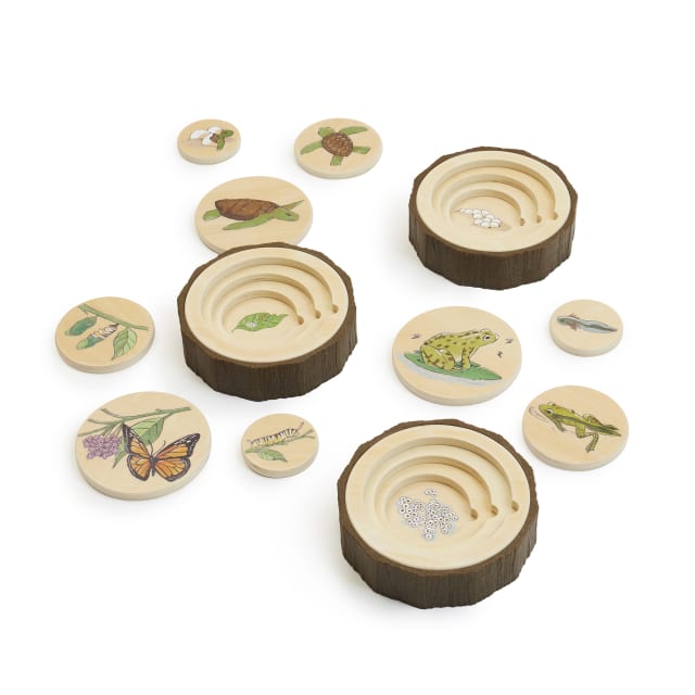 Lifecycle Puzzles, Set of 3