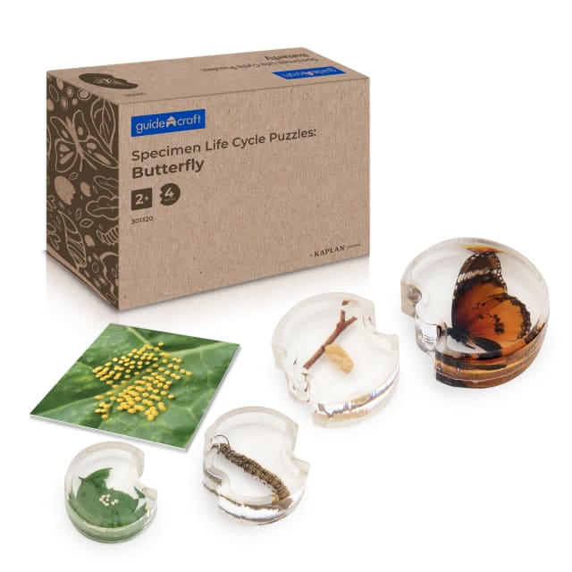 Specimen Life Cycle Puzzles: Butterfly