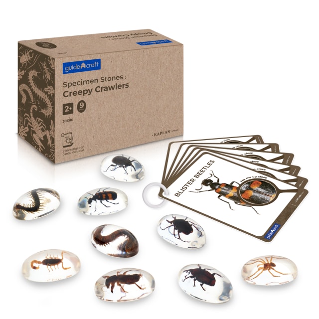 Specimen Stones: Creepy Crawlers - 9 Stones