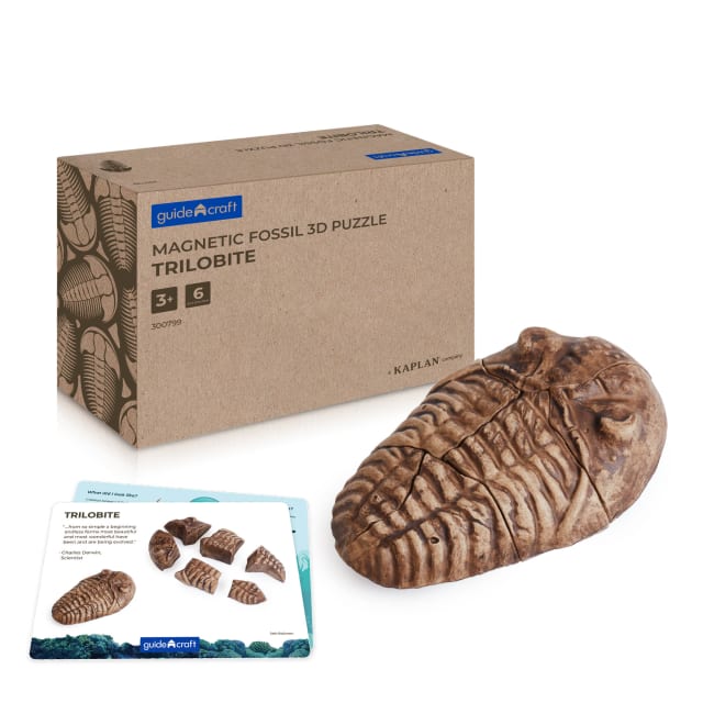 Magnetic Fossil 3D Puzzle - Trilobite