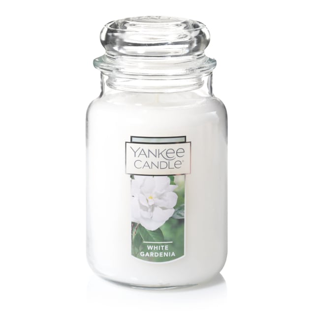 Bougie parfume Yankee Candle, gardnia blanc, format original grande jarre