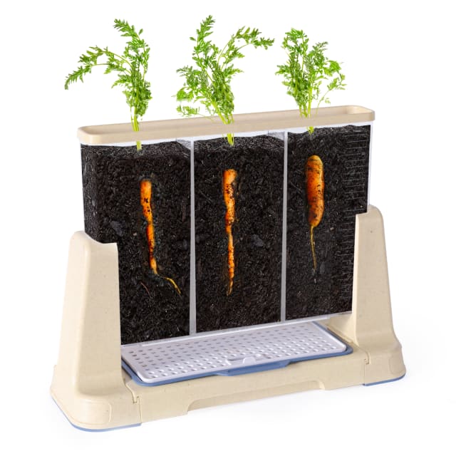 Explore and Discover 3 Section Root View Planter