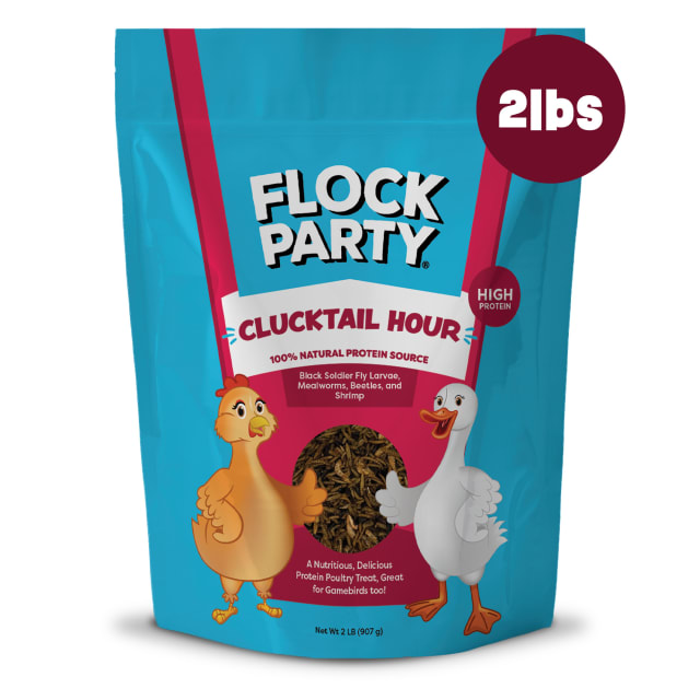 Flock Party Clucktail Hour, 100% Natural Poultry Treat with Soldier Fly Larvae, Mealworms, Beetles & Shrimp, 1 lb