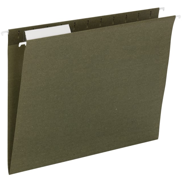 Standard Hanging File Folders, 1/3-Cut Adjustable Tab
