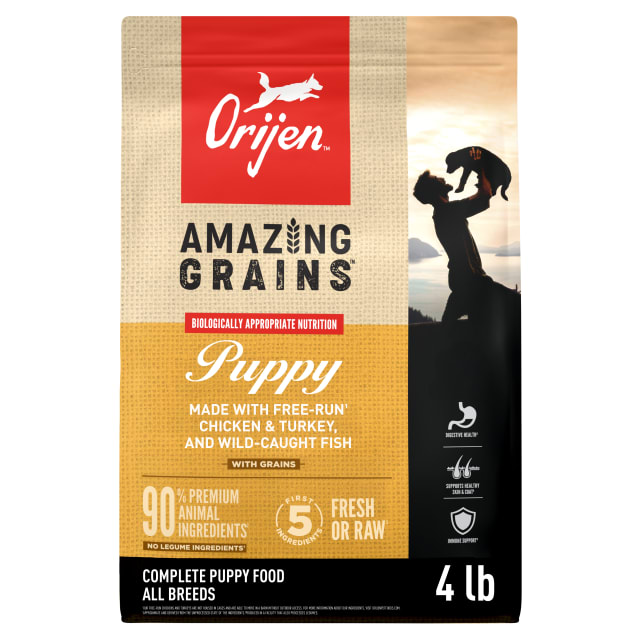 ORIJEN Amazing Grains High Protein Dry Dog Food Puppy Recipe