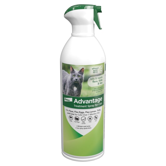 Advantage Cat Flea Treatment Spray | Kills Fleas & Ticks | Cat Flea Spray | 8 oz.